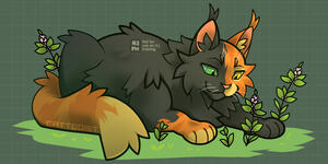 Fullbody: personal